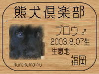 �I�[�i�[�́A�t�F���t�@�[�p�p���}�}����ł���